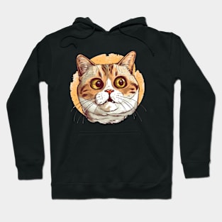 Funny Cat Face, Love Cats Hoodie